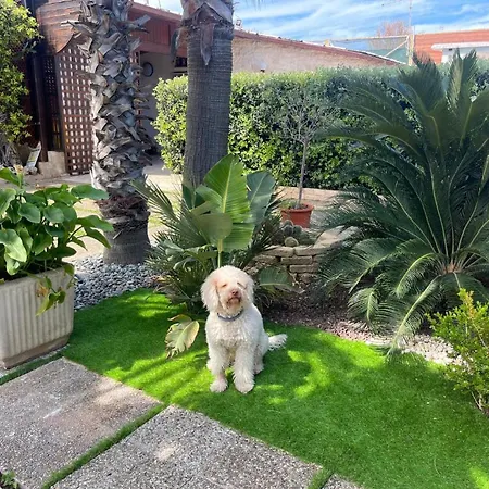 Civetta Al Mare Villa Monopoli