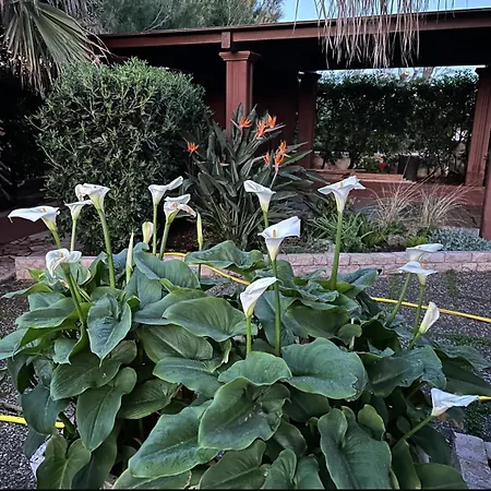 Civetta Al Mare Monopoli