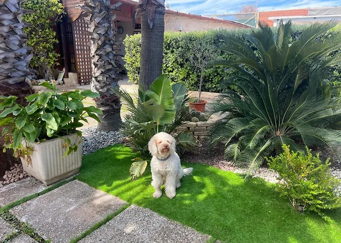 Civetta Al Mare Villa Monopoli